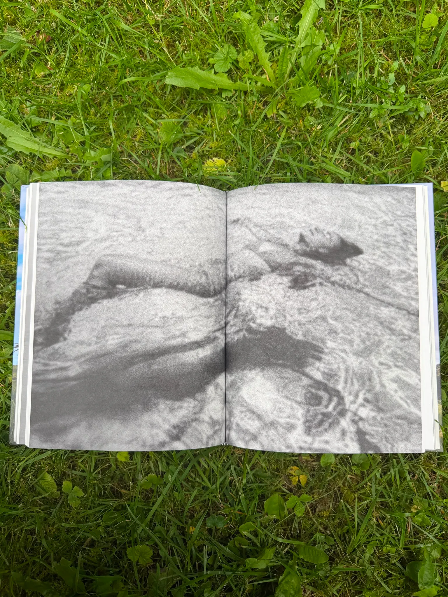 Aufnahme aus dem Buch „Danke Leben!“ 3