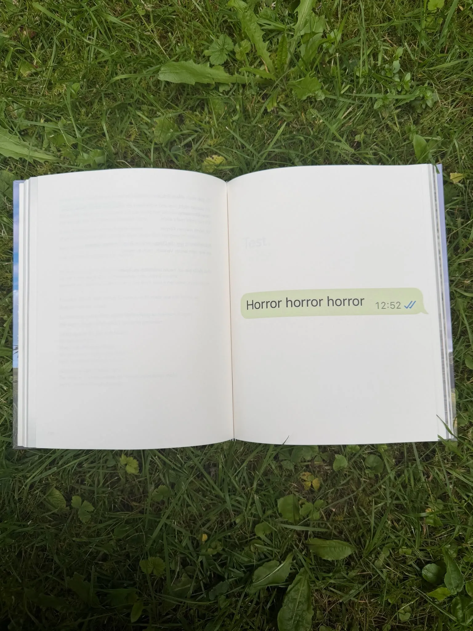 Aufnahme aus dem Buch „Danke Leben!“ 6