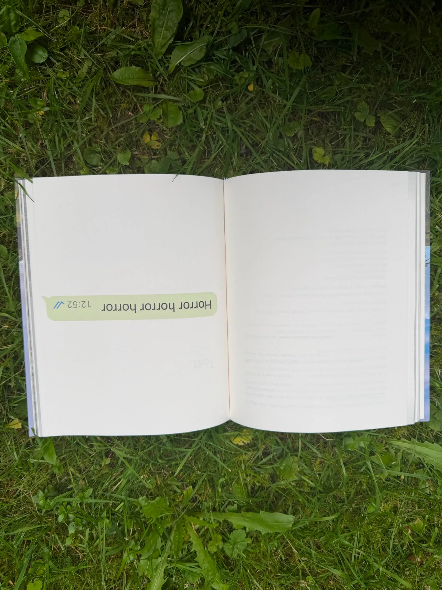 Aufnahme aus dem Buch „Danke Leben!“ 6