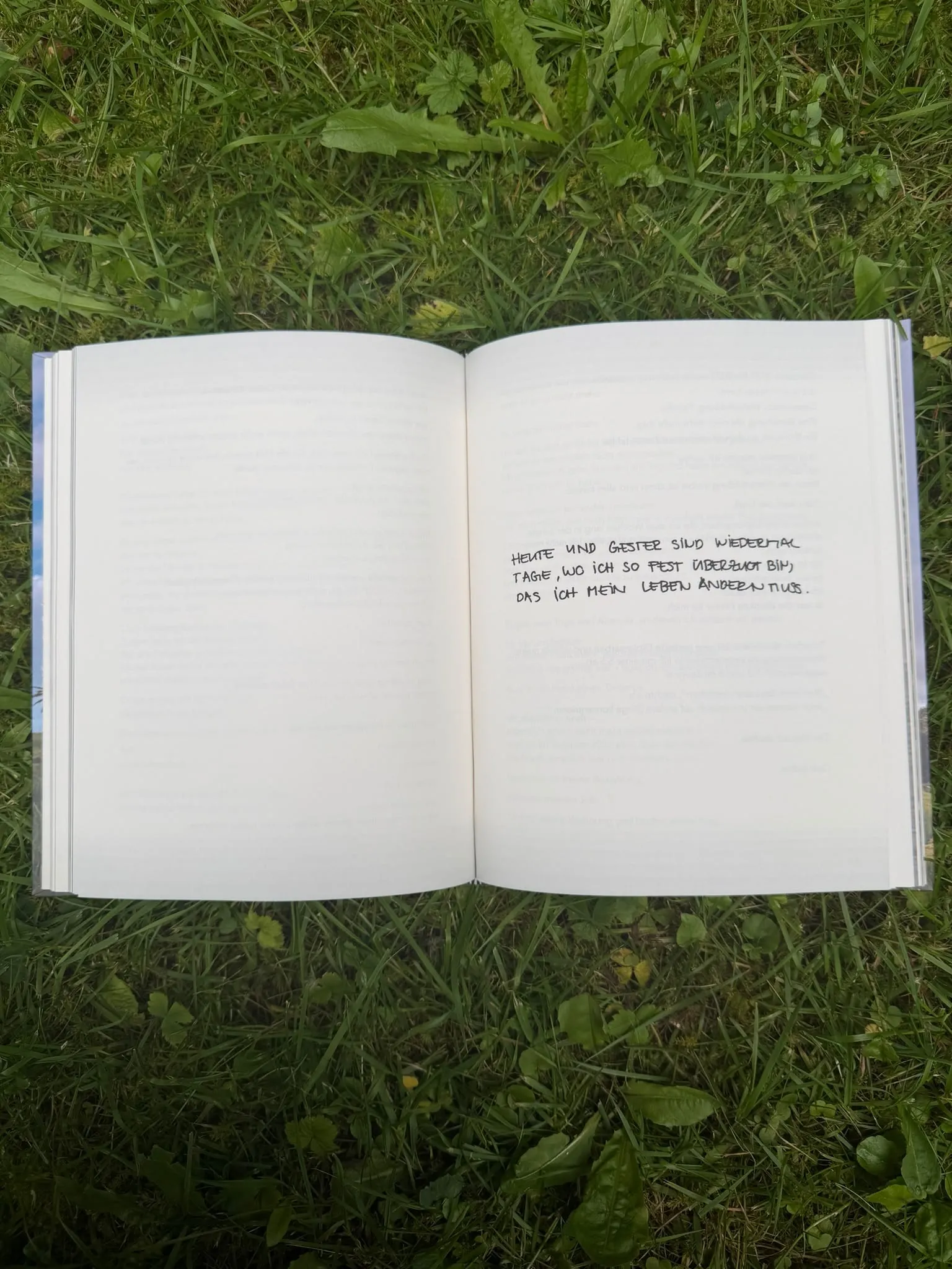 Aufnahme aus dem Buch „Danke Leben!“ 7