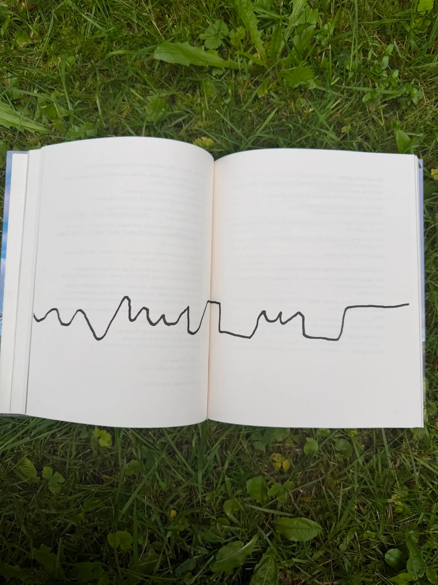 Aufnahme aus dem Buch „Danke Leben!“ 8