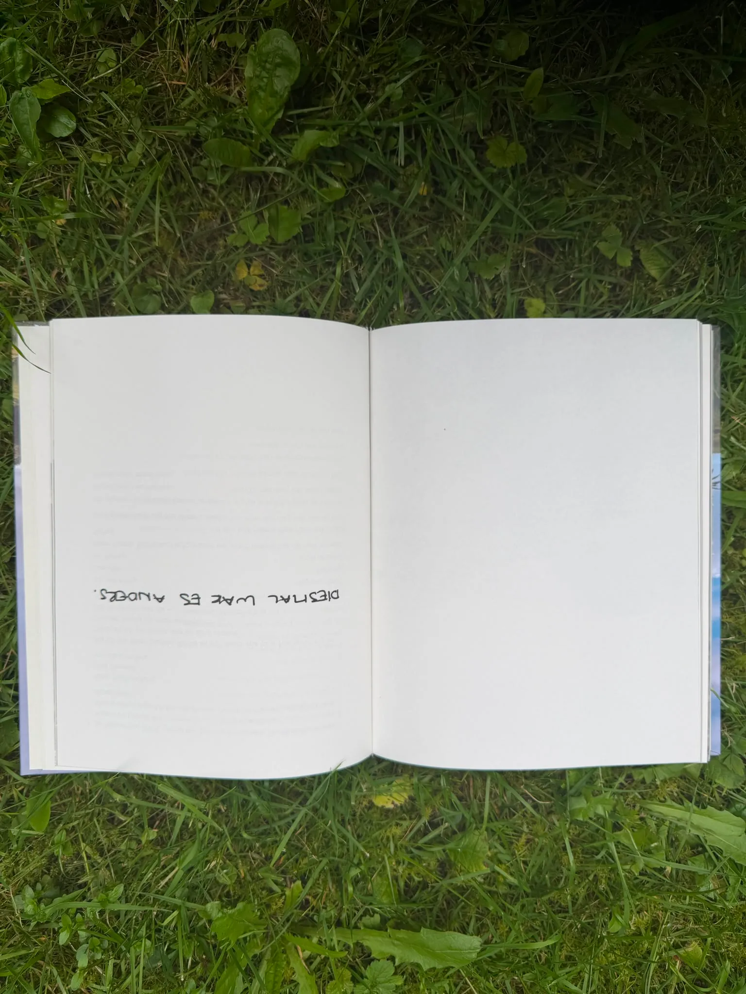 Aufnahme aus dem Buch „Danke Leben!“ 10